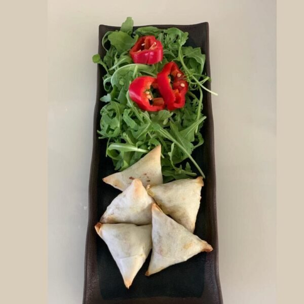 VEGAN 🌱 SAMOSA MET SALADE