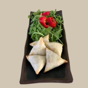 VEGAN 🌱 SAMOSA MET SALADE